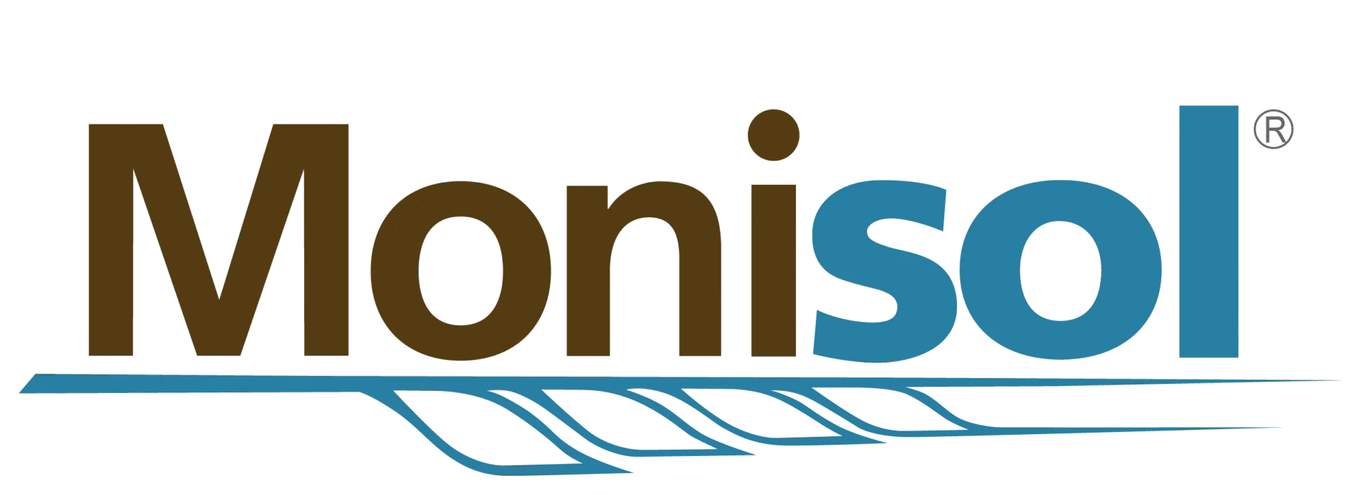 MONISOL_LOGO (1)-01