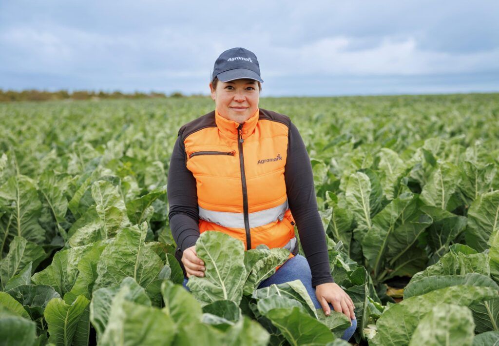 agromark