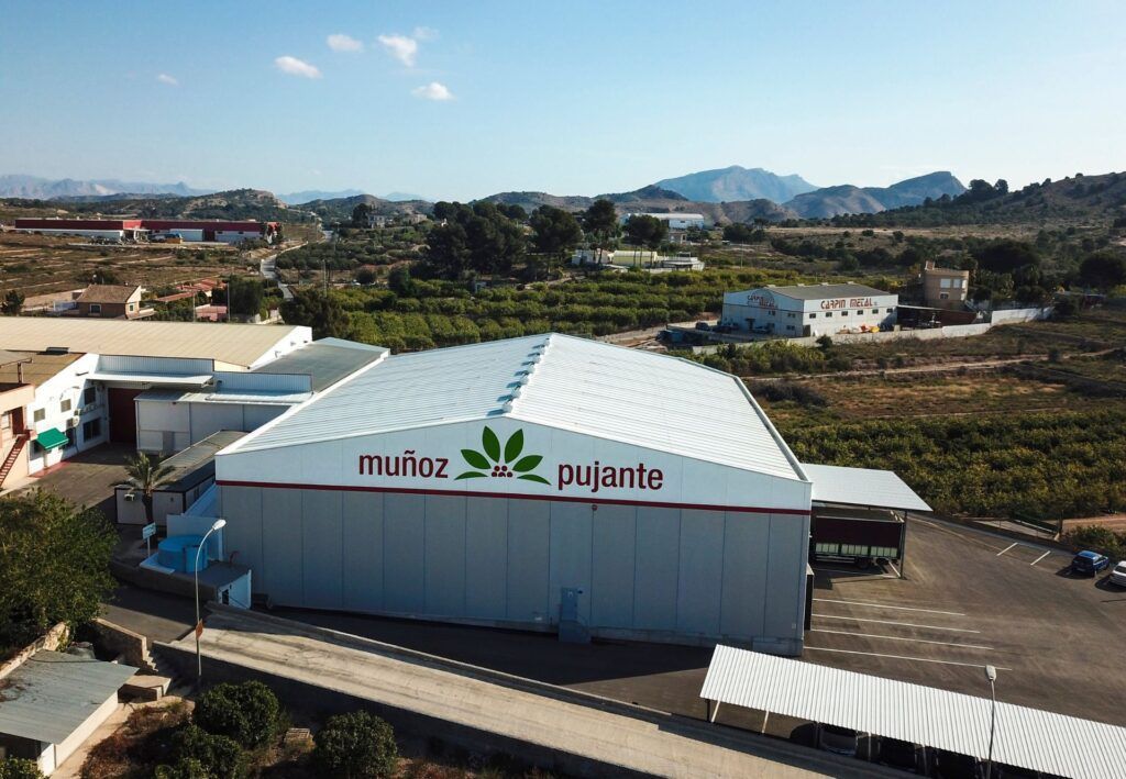 empresa muñoz y punjante